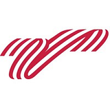 VENUS GROUP INC. logo