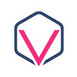 Visionet Systems Inc logo