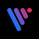 VisionX LLC logo