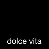 VITA INC logo