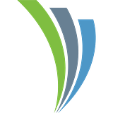 VITECH SYSTEMS GROUP, INC. logo