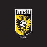VITESSE GROUP INC logo
