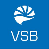 VSB TECH CONSULTING SERVICE LLC logo