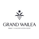 WAILEA SYSTEMS LLC logo