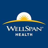 WELLSPAN HEALTH logo