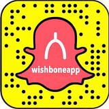 WishBone Medical, Inc. logo