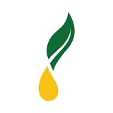Young Living Essential Oils, LC logo