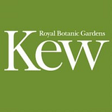 Yvonne Kew MD PLLC logo