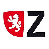 Zaragoza Endodontic Group PLLC logo